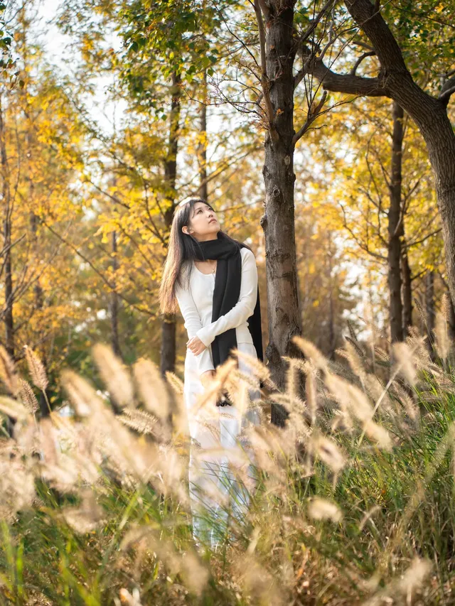 被問瘋的上海楓葉旋梯錯過真的等一年… 被問瘋的上海楓葉旋梯錯過真的等一年…