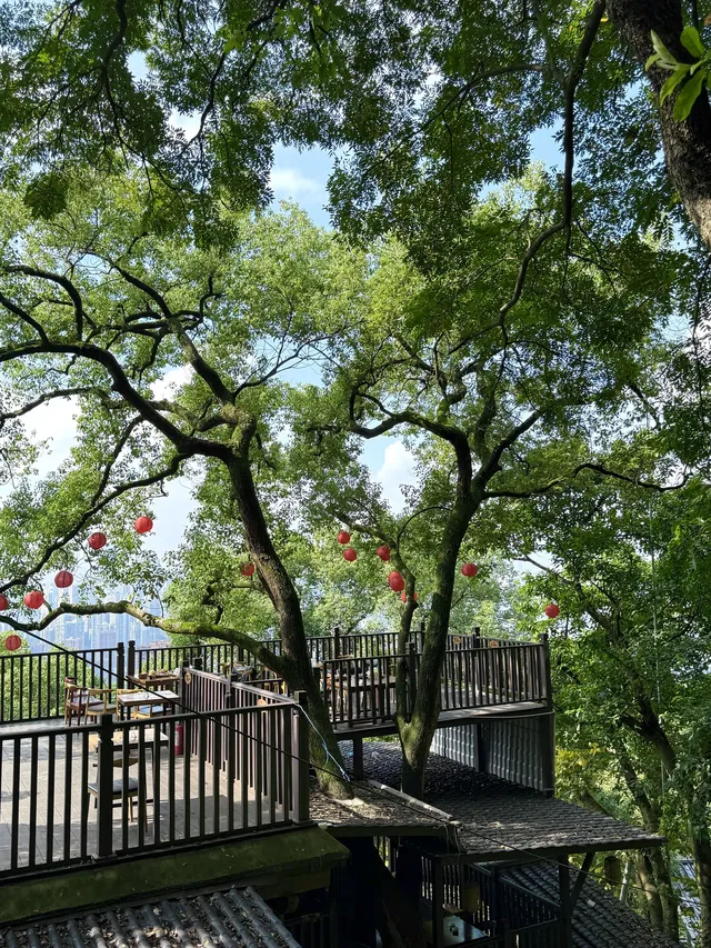 重慶主城!最喜歡的citywalk路線好治癒… 重慶主城!最喜歡的citywalk路線好治癒…