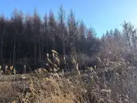 瀋陽周邊1.5h太極灣徒步!感受自然能量場