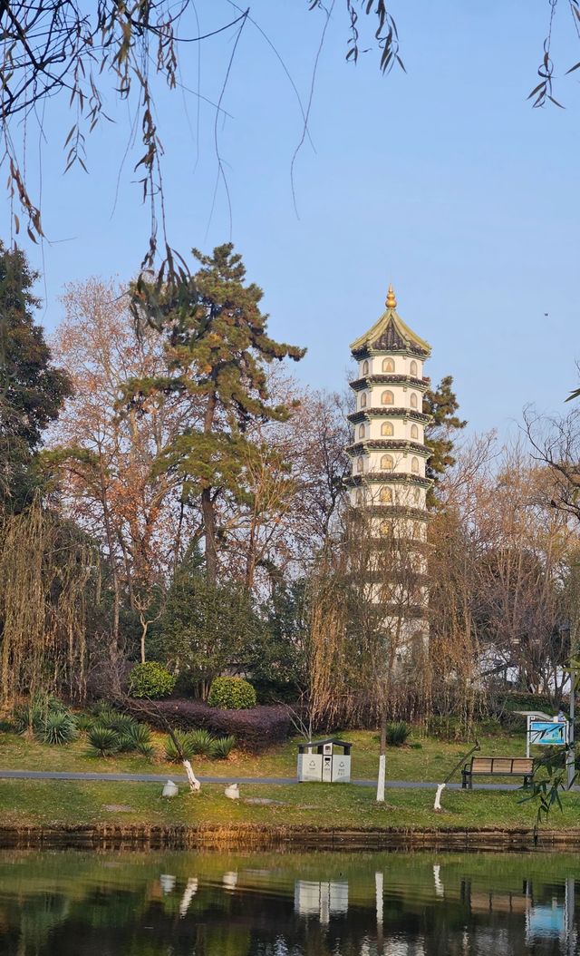 冬日玄武湖的浪漫太絕了!陽光灑滿湖面美到窒息 冬日玄武湖的浪漫太絕了!陽光灑滿湖面美到窒息