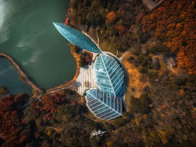 南京秋日航拍 南京秋日航拍