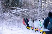 去了還想去的長白山,到底有啥?