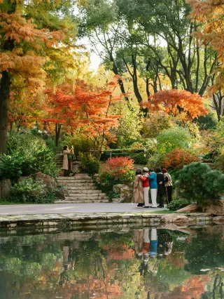 12.4 Live Shots｜This "Maple Leaf Staircase" in the city center surprisingly has no crowds