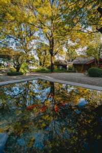 麗江古城慢遊記|我把時間調成了0.5倍速