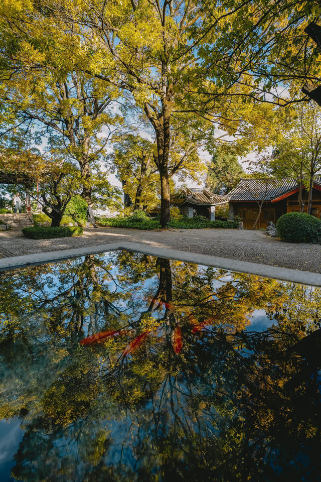 麗江古城慢遊記|我把時間調成了0.5倍速 麗江古城慢遊記|我把時間調成了0.5倍速