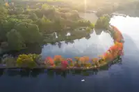 該怎麼向你描述南京的秋天呢