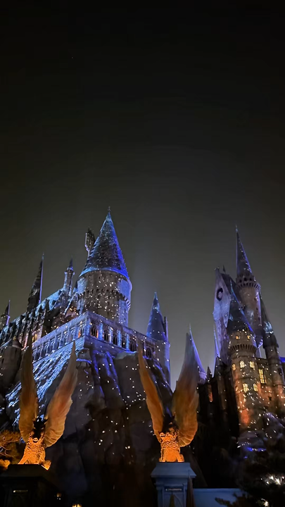Inilah alasan orang-orang datang ke Universal Beijing. Hanya karena satu alasan: untuk melihat Hogwarts dan Hogsmeade secara langsung. Dunia sihir direkonstruksi dengan detail yang luar biasa! Tepat di pintu masuk, Anda akan disambut oleh Hogwarts Express yang sama persis, dan di baliknya, terbentang pemandangan atap-atap desa yang tertutup salju, toko-toko burung hantu, dan toko-toko tongkat sihir. Ya, semuanya di sini cukup mahal, tetapi suasananya tak ternilai harganya.

🎢 1. Flight of the Hippogriff
Jujur saja? Antriannya sangat panjang, dan wahana itu sendiri sangat singkat dan sama sekali tidak menakutkan. Bagi saya, itu tidak sepadan. Satu-satunya kelebihan adalah dari atas, Anda memiliki pemandangan indah seluruh desa. Jika waktu terbatas, lewati saja.

🏰 2. Harry Potter and the Forbidden Journey – sebuah atraksi WOW! Itu benar-benar suguhan yang luar biasa! Anda akan berjalan di dalam kastil Hogwarts (koridor, kantor Dumbledore, galeri potret!), dan kemudian duduk di kursi terbang. Pertunjukan ini menampilkan efek 5D: Anda terbang di atas sekolah, bermain Quidditch, dan menghindari naga dan Dementor. Ada banyak kejutan menakutkan dan trik visual keren yang tak terduga.

🪄 3. Pertunjukan Pemilihan Tongkat Sihir Ollivanders. Ini adalah atraksi yang atmosferik. Anda memasuki ruang rahasia tempat tongkat sihir memilih penyihir. Mereka menampilkan trik dengan bunga, angin, dan cahaya. Ini menyenangkan, tetapi monolognya sebagian besar dalam bahasa Mandarin. Lebih menarik bagi anak-anak dan penggemar.

🍺 Anda harus mencoba Butterbeer seharga ~50 yuan. Rasanya seperti soda Pinocchio manis dengan busa yang mengingatkan pada es krim yang meleleh. Tidak biasa, tetapi lezat. 😋

🌆Pertunjukan cahaya malam di kastil. Setiap 20 menit, fasad Hogwarts menjadi hidup: adegan dari film diproyeksikan ke sana, dan musik serta cahaya menciptakan tontonan yang benar-benar ajaib.

Setelah berkunjung, Anda pasti ingin menonton semua film Harry Potter lagi!

#beijing