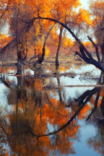 南疆自駕行——一條路、一灣水，一紙大漠鎏金箋