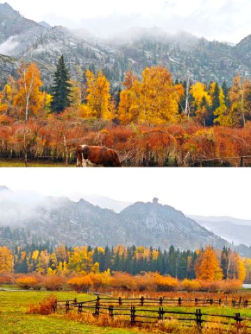 신비로운 신장 타청 타스테의 매력 탐험