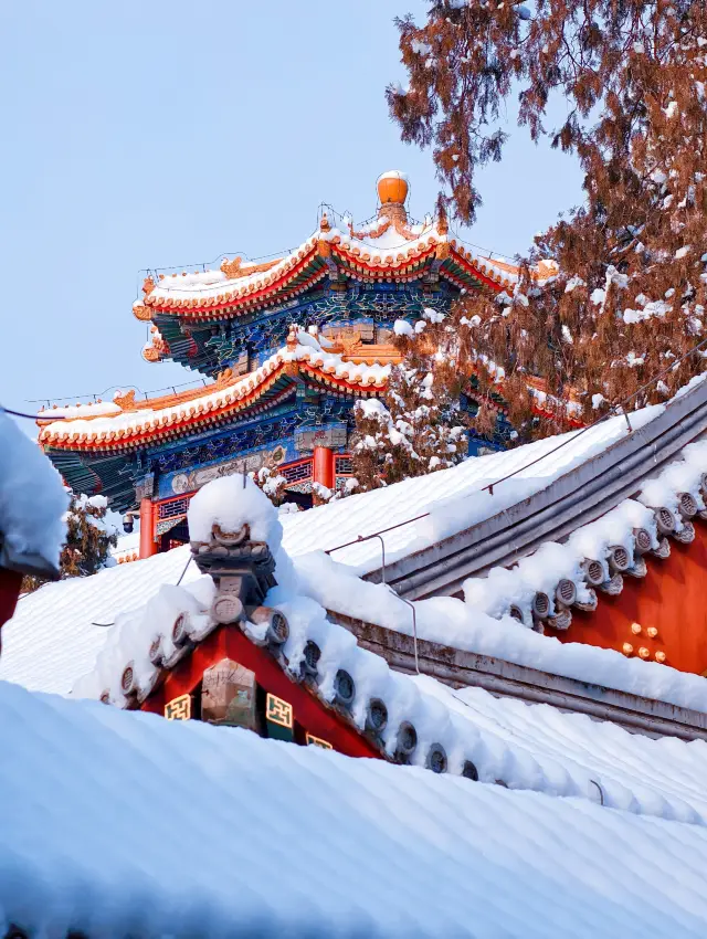 雪後頤和園實測！人少出片路線+避坑指南