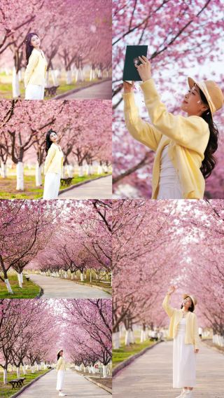 รักษาสัญญาที่จะไปชมดอกซากุระบานและพักอยู่ในใจกลางเมืองที่คึกคักแห่งนี้