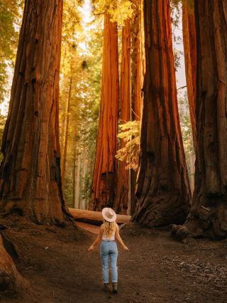 Free itinerary planning + multiple vehicle options! San Francisco Custom Charter Service