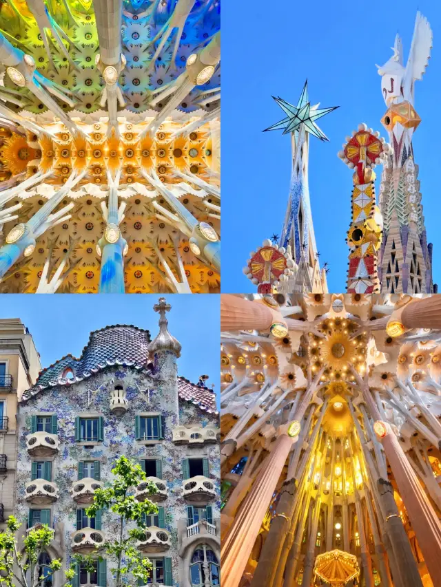 Barcelona Lazy One-Day Tour