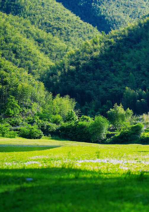 小杭坑(高山草甸营地) 参考图 5