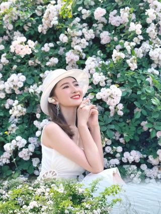 Qingdao’s most beautiful rose flower waterfall check-in guide wrong