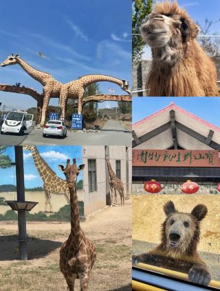 臨沂寶藏野趣動物園