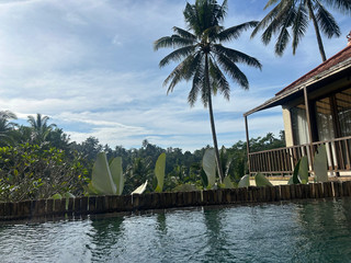A Tranquil Jungle Escape with Stunning Views
