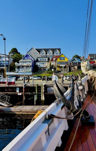 Lunenburg has been on my itinerary for its historic district, and seeing the Bluenose II docked at the harbour was the highlight of the afternoon.

Most people might recognise the silhouette from the back of the Canadian 10-cent coin. While the coin features the original 1921 Bluenose—a legendary undefeated racing schooner—the ship you can board today is the Bluenose II, a replica built in 1963 to preserve that heritage.

Standing on the deck, the contrast between the tiny engraving on the coin and the actual scale of the ship is quite striking. The towering double masts and heavy rigging take up the entire view against the coastline.

It is more than just a photo stop. For someone who enjoys historical details, understanding how this ship represents Nova Scotia's shipbuilding legacy made the visit much more meaningful. A quiet, recommended stop if you are in the area.
