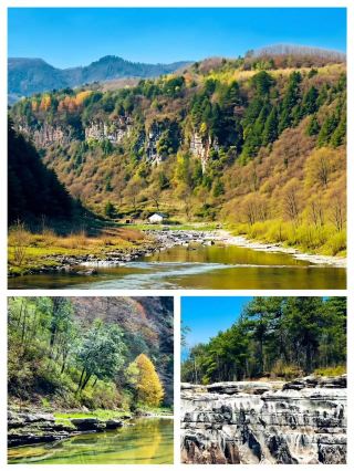 Epic Wild Nature Moments I Found in Liping National Forest Park