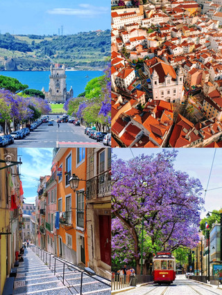 Just back from Lisbon (it was a struggle) | Honestly, I don't recommend going in Oct–Nov, it's just...