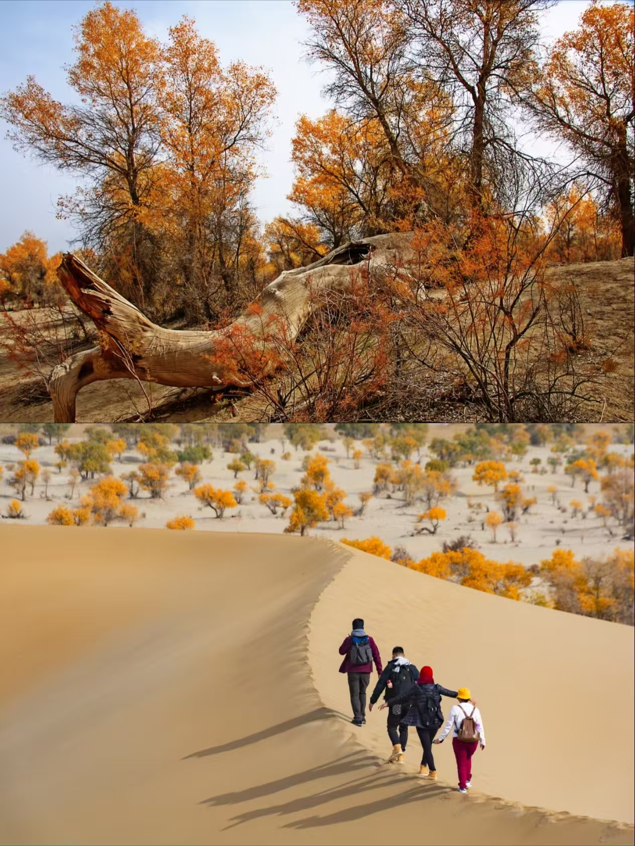 Panduan Rute Perjalanan Grand Loop Jalur Sutra Xinjiang Selatan 2026.