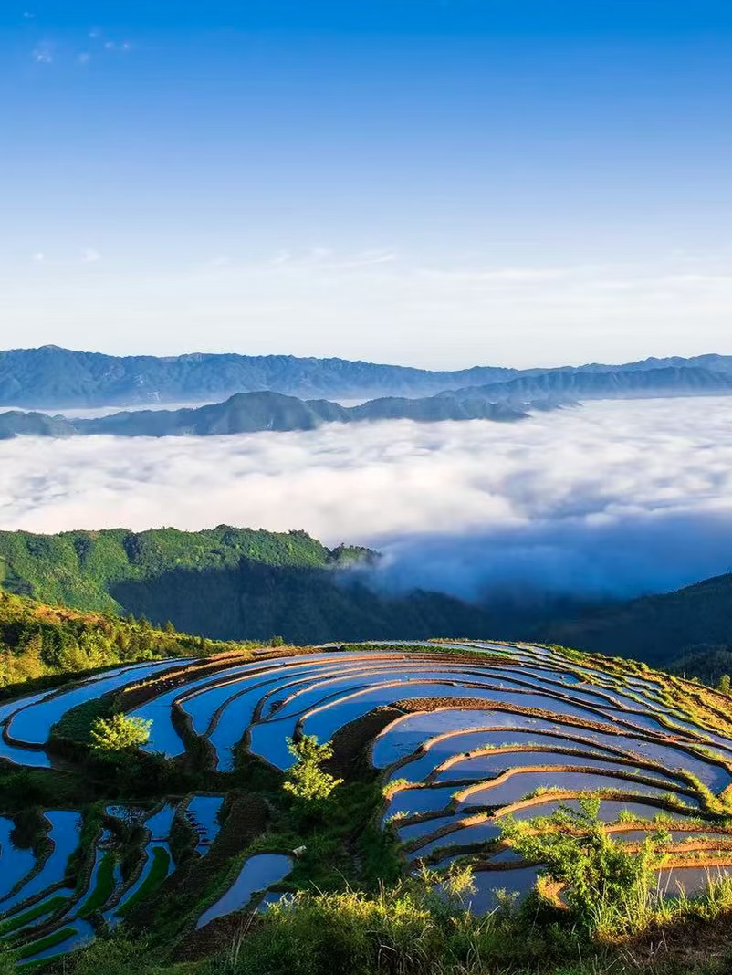 Official recognition! Xupu, Huaihua, has been selected for the national autumn foliage guide