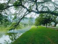 Taiping Lake Gardens