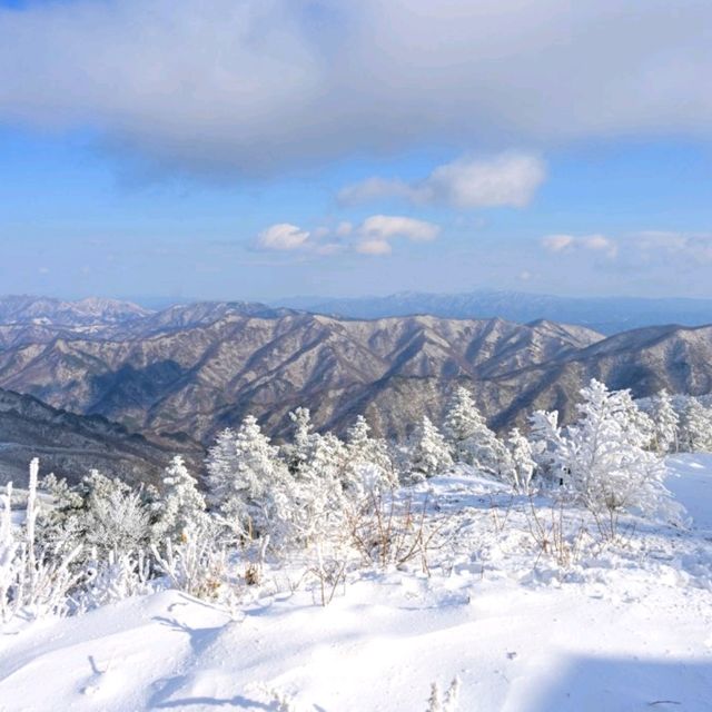덕유산 눈꽃여행 꿀팁으로 제대로 즐겨요.