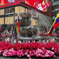 Chinese New Year Decorations 