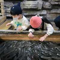 국내 최대 아쿠아리움, 아쿠아플라넷 제주🐠
