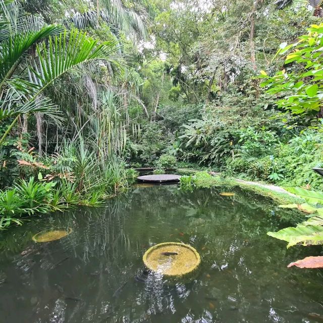 Tropical Spice Garden
