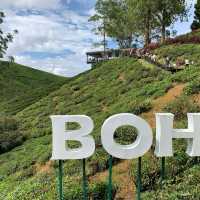 Wintry landscape in Malaysia