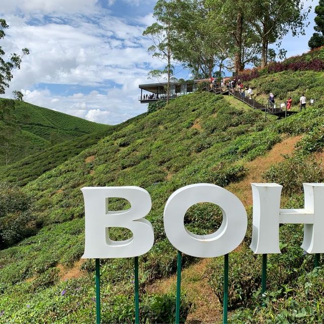 Wintry landscape in Malaysia