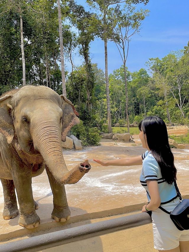 🇻🇳베트남의 몰디브, 푸꾸옥이 궁금해? 