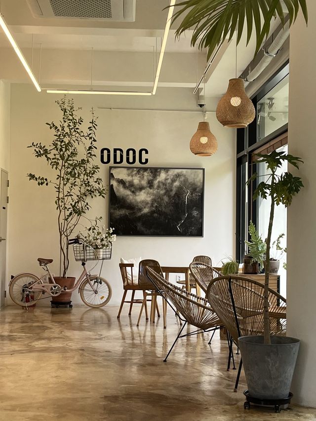 따뜻한 속초의 설악산을 품은 카페 ODOC!
