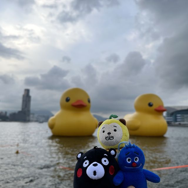 四遇鴨鴨Rubber Duck🤣