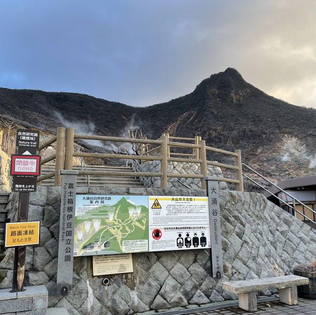 【箱根観光】大迫力な大涌谷🗻