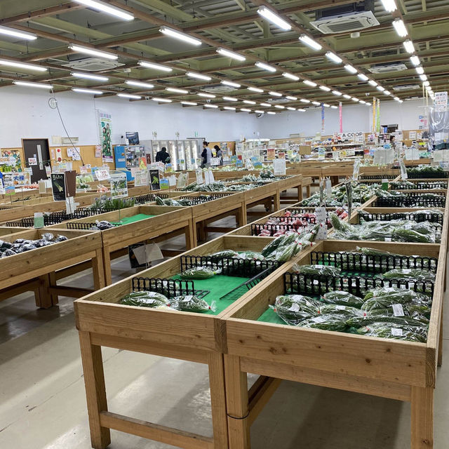 石垣島「ゆらてぃく市場」地産地消が合言葉
