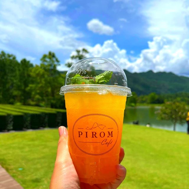 👏คาเฟ่ เขาใหญ่ฟิลดีจนขนลุก