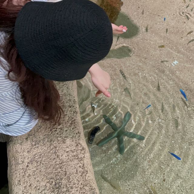 🇯🇵沖縄 DMMかりゆし水族館