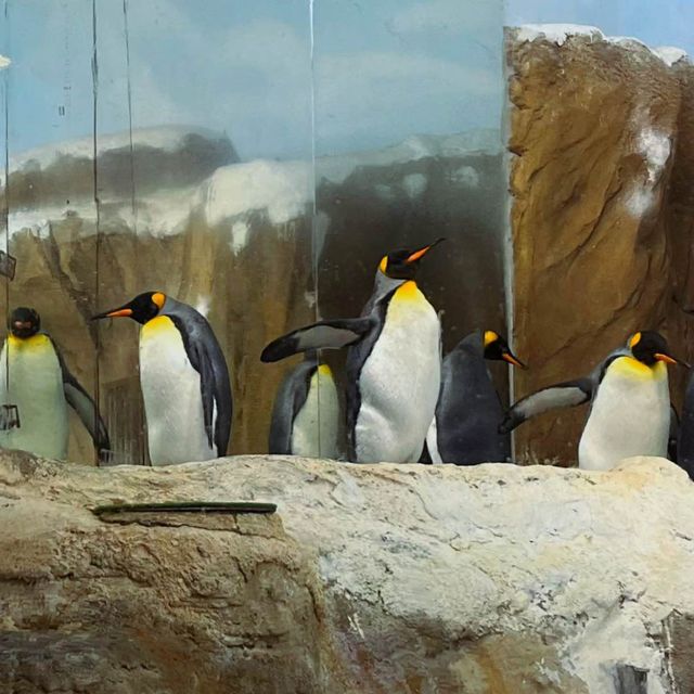 台北必去景點-台北巿立動物園