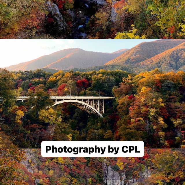 Stunning autumn view in Japan! Stunning autumn view in Japan!