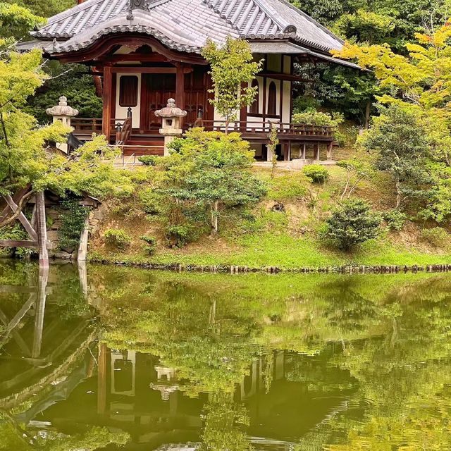苔寺🕉充滿意境的「西芳寺」
