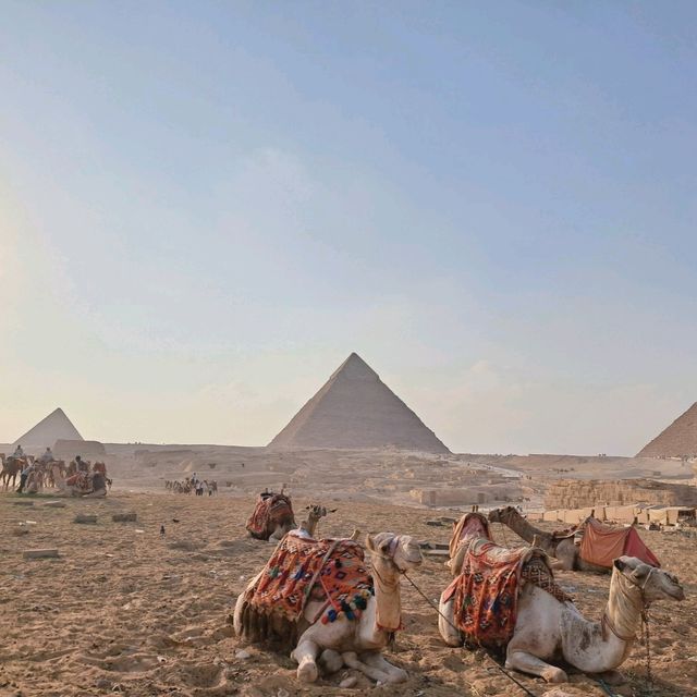 世界七大奇景｜偉大的古文明埃及金字塔群與人面獅身像🇪🇬