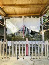 【京都府/二葉姫稲荷神社】神宮寺山の麓にある神社