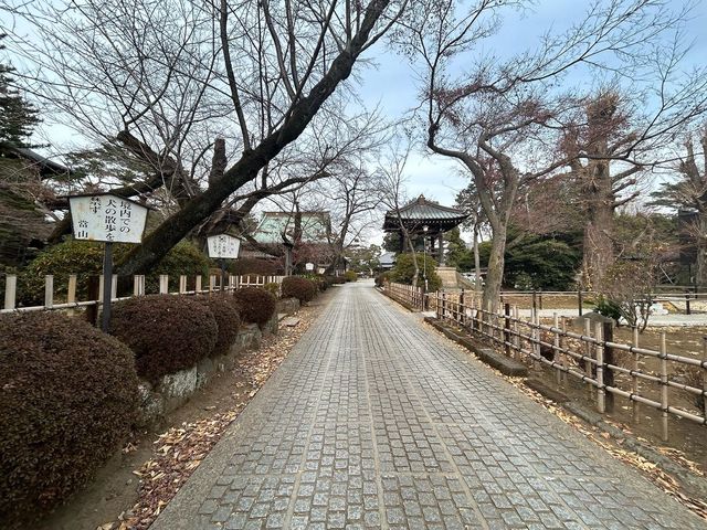 【豪徳寺】招き猫に囲まれるしあわせ♡