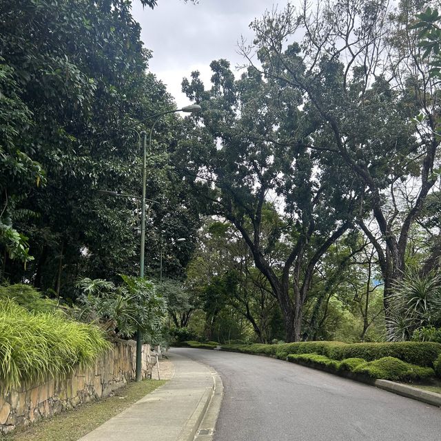 永遠有驚喜的森林保護區