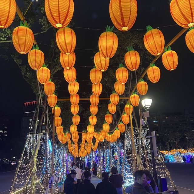台北  台灣燈會