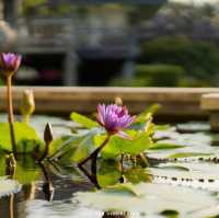 DEVASOM HUA HIN ให้เวลาเดินช้าลง 