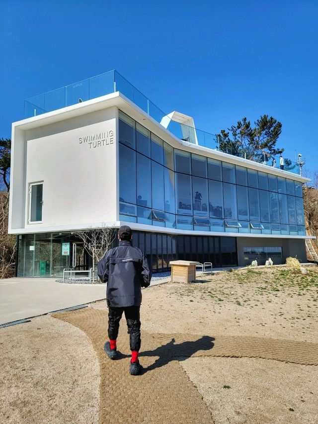 아야진해변이 영화처럼 펼쳐지는 고성 스위밍터틀🐢